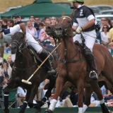 Polo, Commercial Wedding Photographers: Photoscience.co.uk